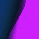 How Editing and Proofreading Improve Insights on Wildlife